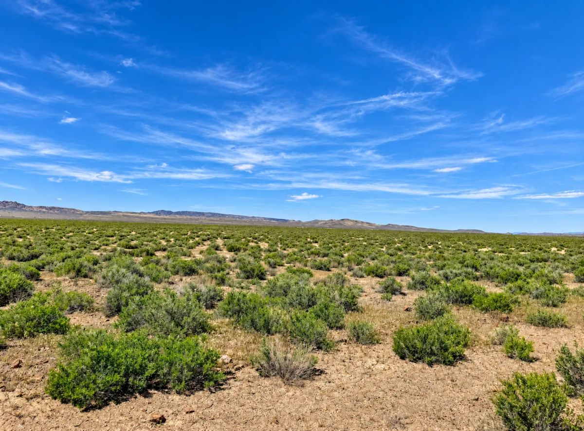 Discover 46 Acres & No Restrictions Acres in Crescent Valley NV- BLM RIGHTS-OF-WAY & PRIVATE LAND ACCESS -Majestic Mountain Views -APN: 007-080-07 - Image 2