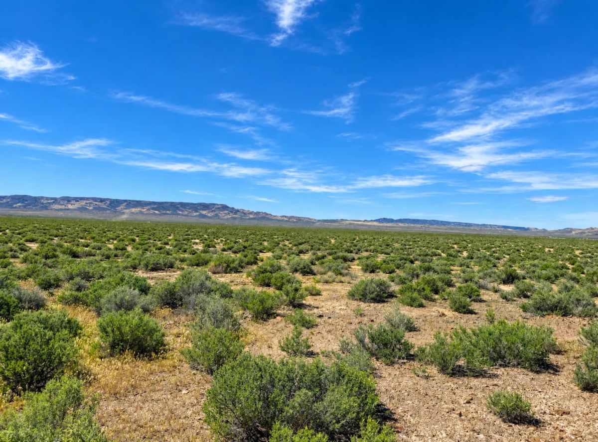 Decorative background for Discover 46 Acres & No Restrictions Acres in Crescent Valley NV- BLM RIGHTS-OF-WAY & PRIVATE LAND ACCESS -Majestic Mountain Views -APN: 007-080-07 image 11