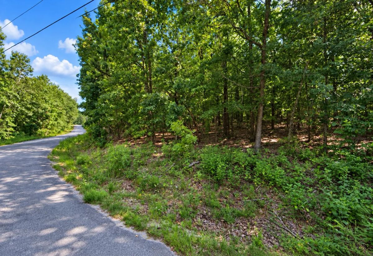 Greers Lake Residential Lot with power, water and walking distance to the lake! APN: 4050-08041-0000 - Main image
