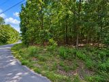 Greers Lake Residential Lot with power, water and walking distance to the lake! APN: 4050-08041-0000