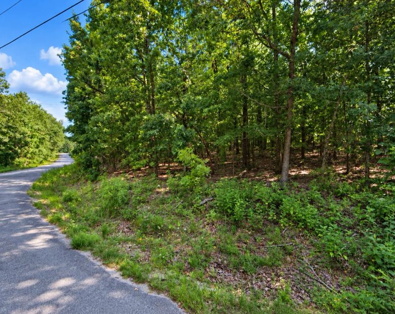 Greers Lake Residential Lot with power, water and walking distance to the lake! APN: 4050-08041-0000 in Van Buren County, AR