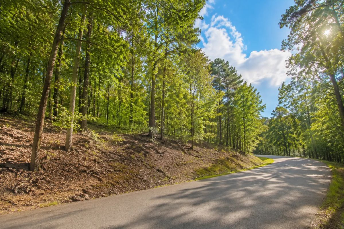 Decorative background for Greers Lake Residential Lot with power, water and walking distance to the lake! APN: 4050-08041-0000 image 10