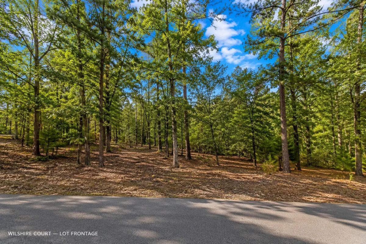 Greers Lake Residential Lot with power, water and walking distance to the lake! APN: 4050-08079-0000 - Main image
