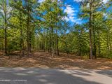 Greers Lake Residential Lot with power, water and walking distance to the lake! APN: 4050-08079-0000
