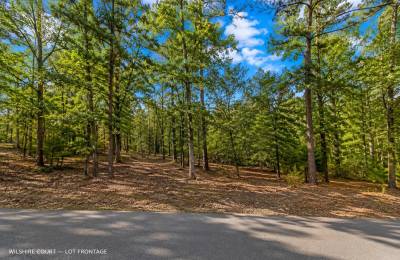 Greers Lake Residential Lot with power, water and walking distance to the lake! APN: 4050-08079-0000