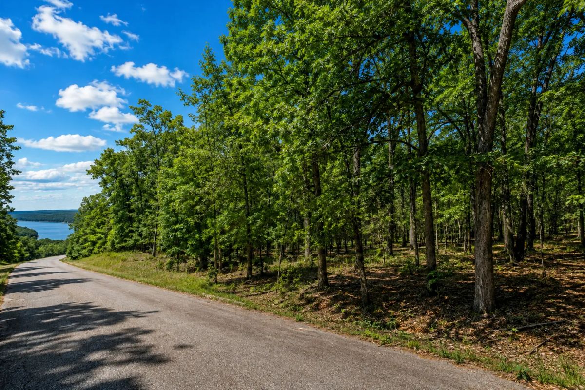 Decorative background for Greers Lake Residential Lot with power, water and walking distance to the lake! APN: 4050-08079-0000 image 8