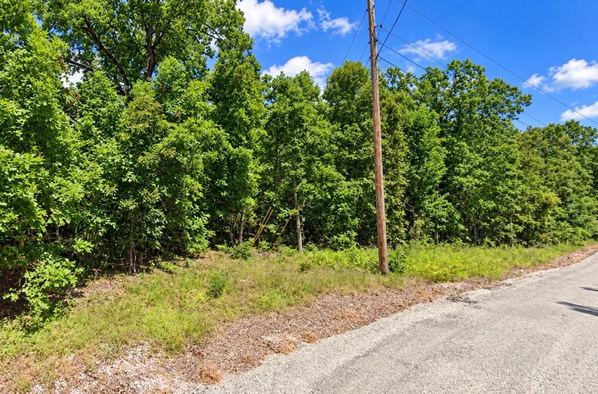 Decorative background for Discover a 15,358 Sq Ft Residential Property- Near Lake Aztec-Fulton County Arkansas -Road Frontage & Power APN : 170-12815-000 image 6