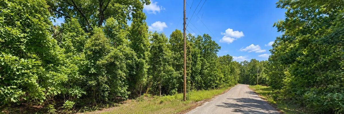 Decorative background for Discover a 15,358 Sq Ft Residential Property- Near Lake Aztec-Fulton County Arkansas -Road Frontage & Power APN : 170-12815-000 image 11