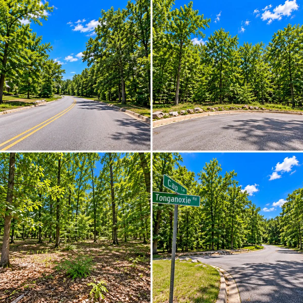 Decorative background for Bring your Camper and RV to the Lakes, Golf and Natural Beauty in Cherokee Village! image 15