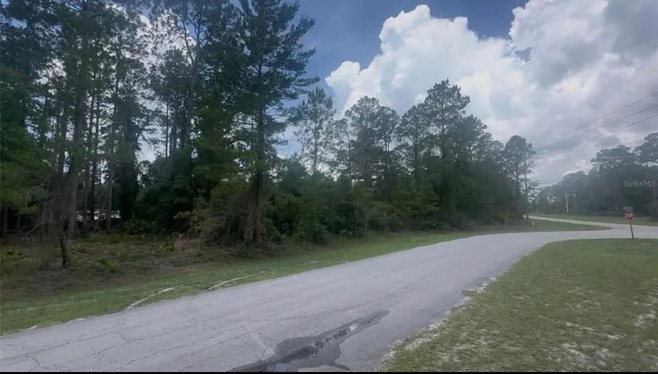 Lake George Lot w/ Deeded Lake Access - 0.34 Acre - Georgetown, FL - Main image