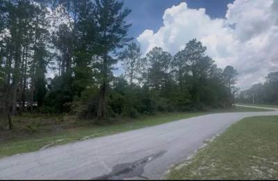 Lake George Lot w/ Deeded Lake Access - 0.34 Acre - Georgetown, FL