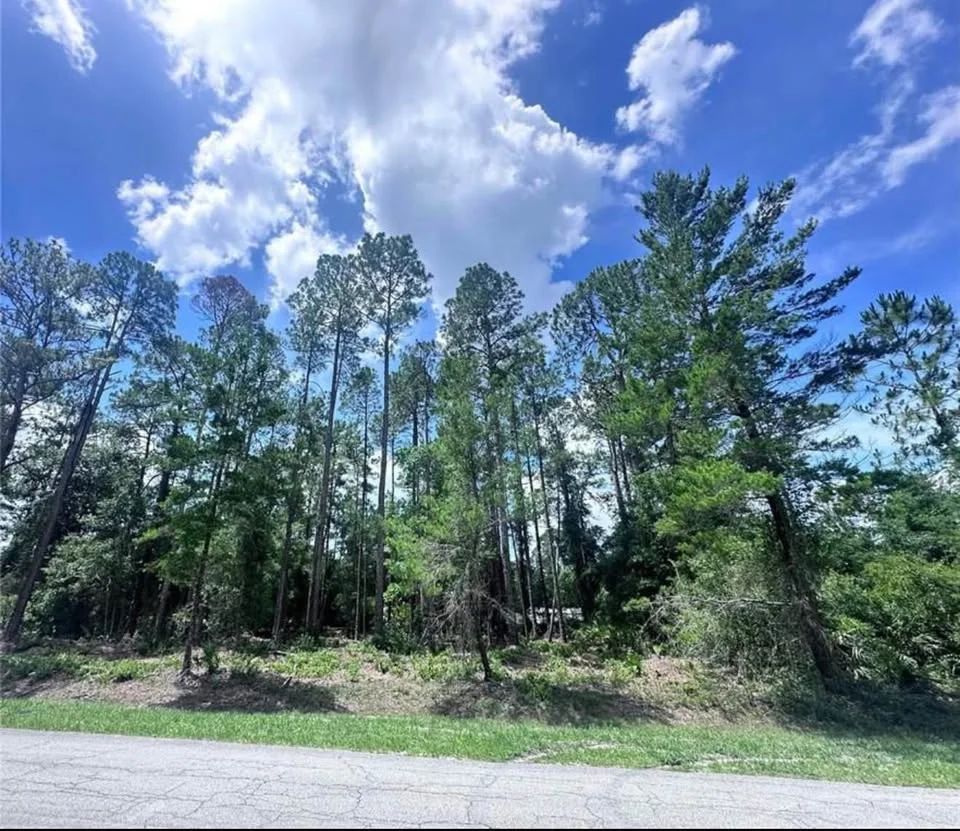 Lake George Lot w/ Deeded Lake Access - 0.34 Acre - Georgetown, FL - Image 2