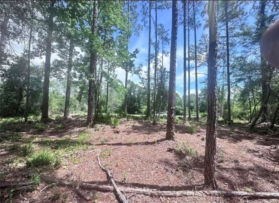 Lake George Lot w/ Deeded Lake Access - 0.34 Acre - Georgetown, FL - Image 3