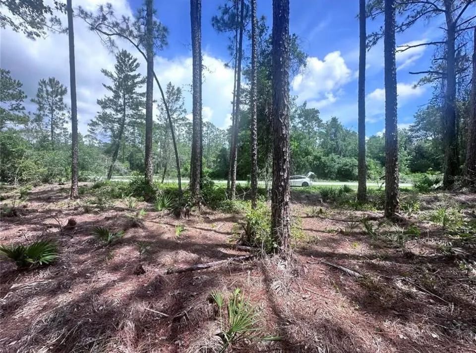 Lake George Lot w/ Deeded Lake Access - 0.34 Acre - Georgetown, FL - Image 4