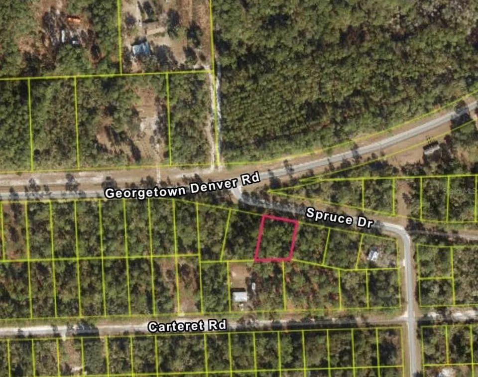 Decorative background for Lake George Lot w/ Deeded Lake Access - 0.34 Acre - Georgetown, FL image 5