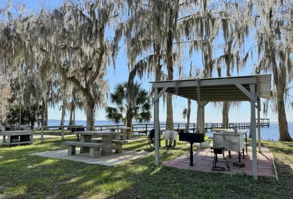 Decorative background for Lake George Lot w/ Deeded Lake Access - 0.34 Acre - Georgetown, FL image 6