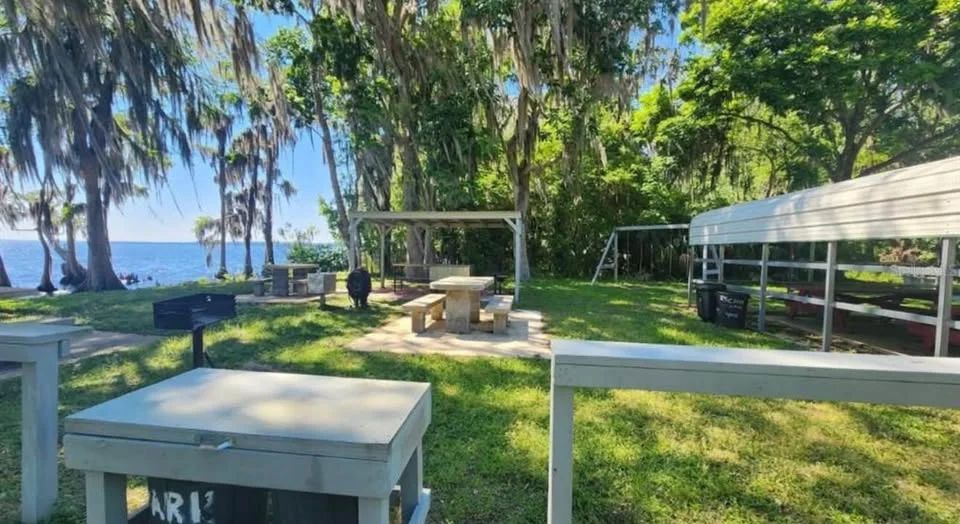 Decorative background for Lake George Lot w/ Deeded Lake Access - 0.34 Acre - Georgetown, FL image 7