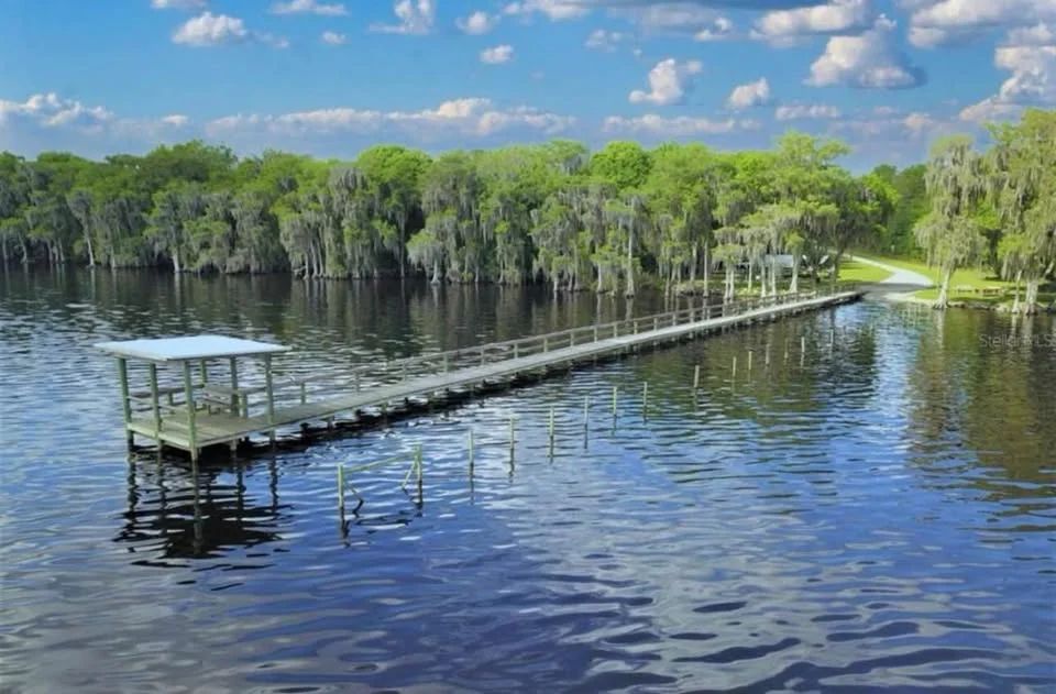 Decorative background for Lake George Lot w/ Deeded Lake Access - 0.34 Acre - Georgetown, FL image 8