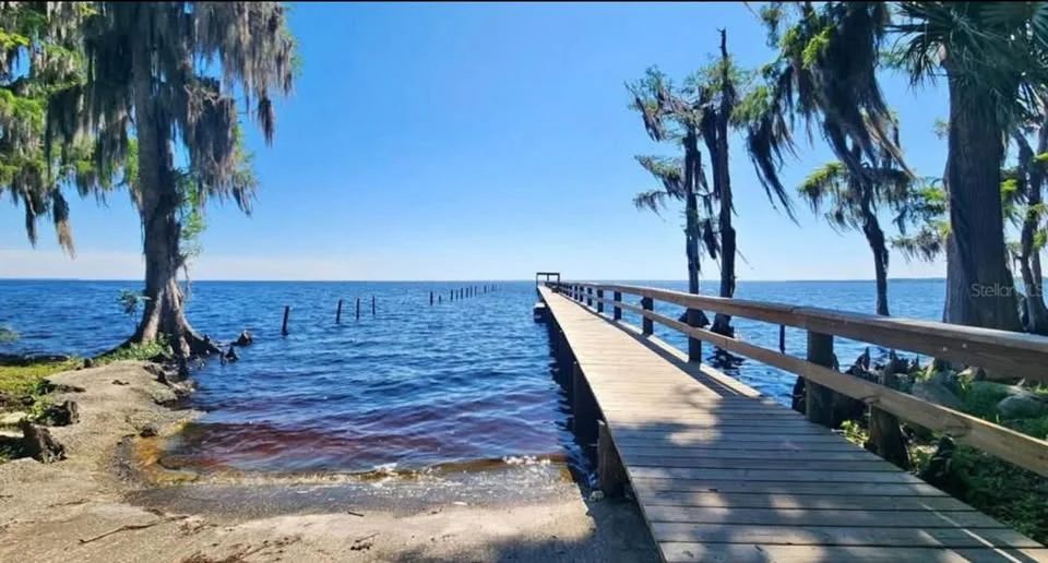 Decorative background for Lake George Lot w/ Deeded Lake Access - 0.34 Acre - Georgetown, FL image 9