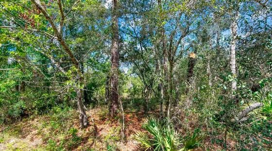 Spacious Building Lot with Power close to Lake Weir in Marion County, FL