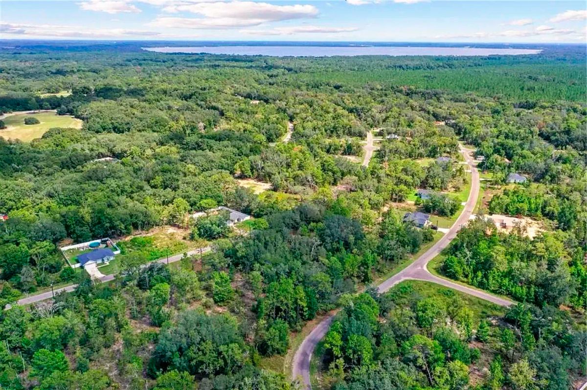 Spacious Building Lot with Power close to Lake Weir - Image 3