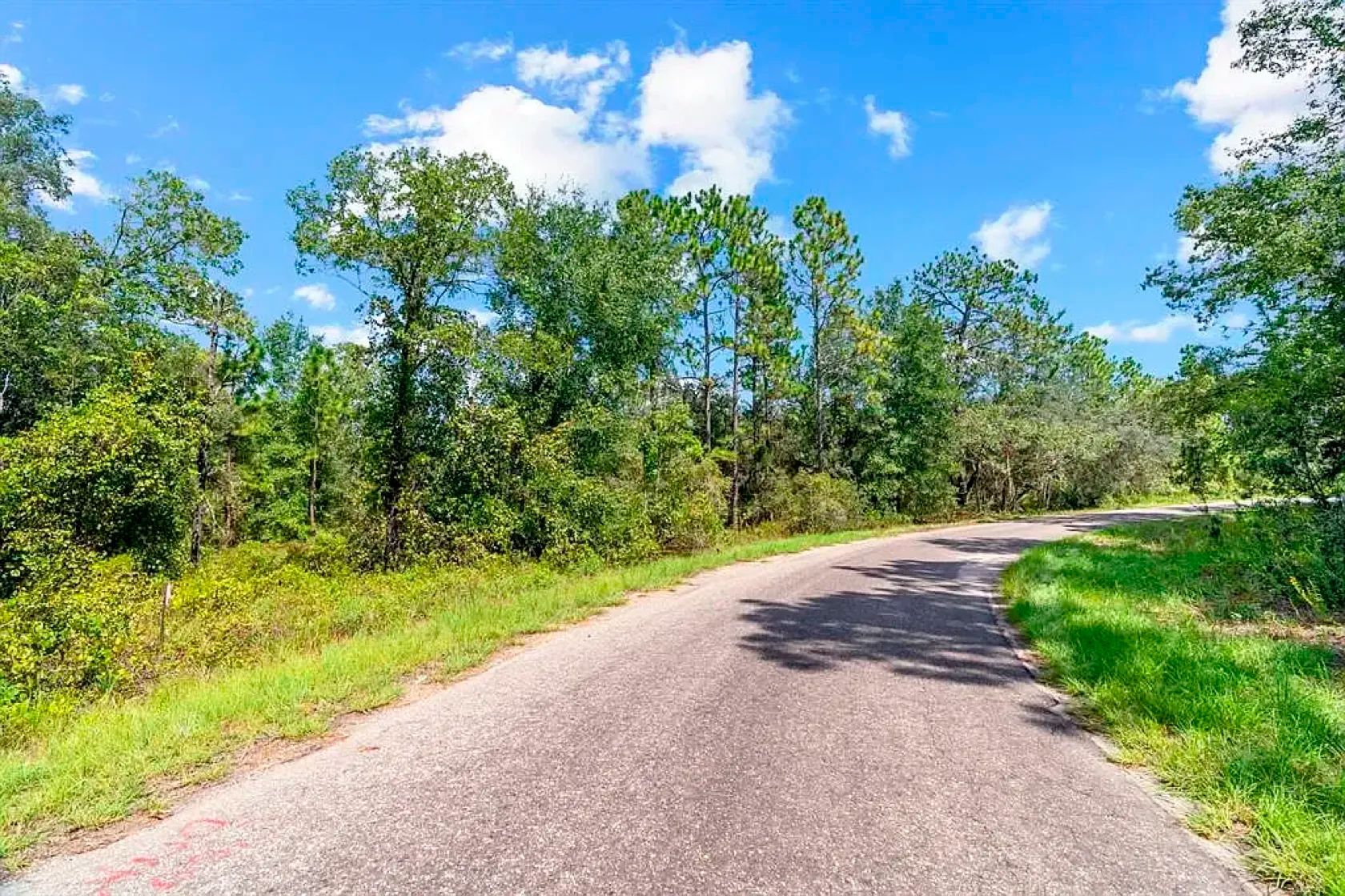 Spacious Building Lot with Power close to Lake Weir in Marion County, FL