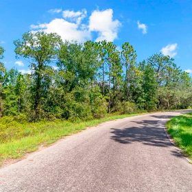Spacious Building Lot with Power close to Lake Weir in Marion County, FL