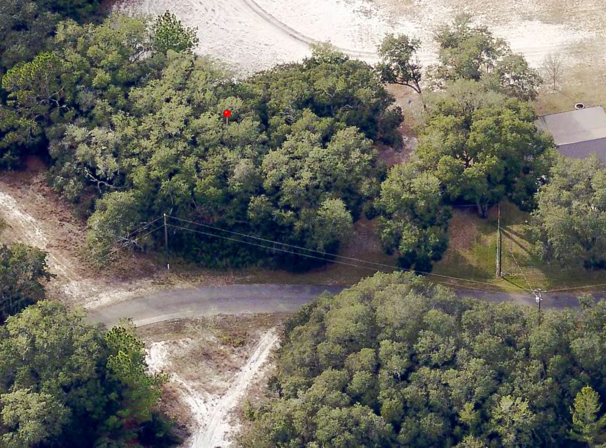 Spacious Building Lot with Power close to Lake Weir - Main image