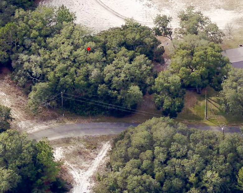 Spacious Building Lot with Power close to Lake Weir in Marion County, FL
