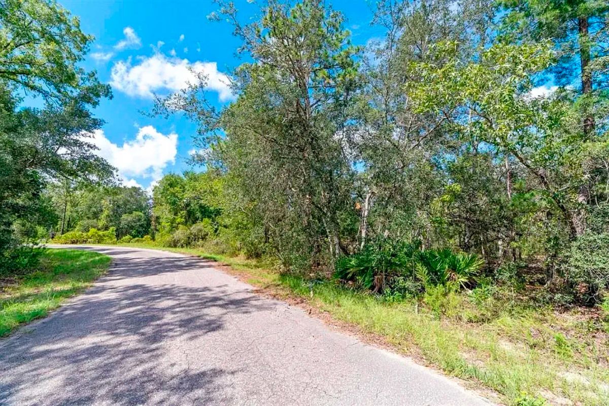 Decorative background for Spacious Building Lot with Power close to Lake Weir image 9