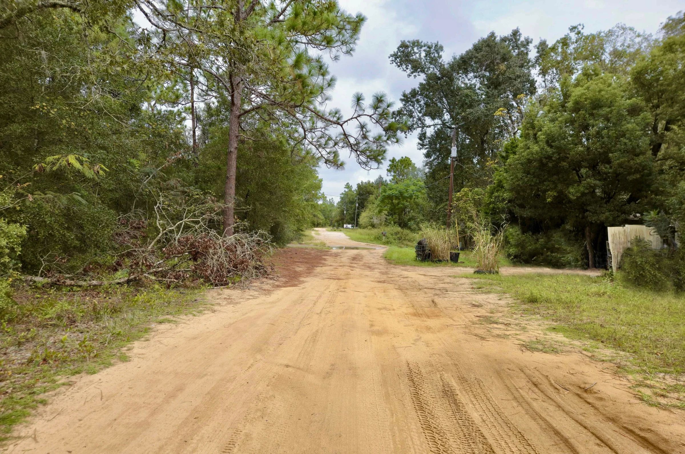 Nice Building Lot with Power in Putnam County, FL