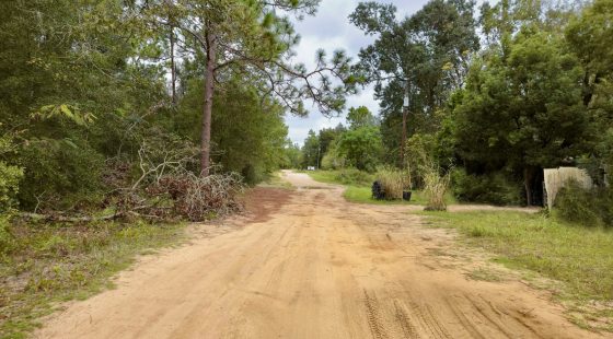 Nice Building Lot with Power in Putnam County, FL