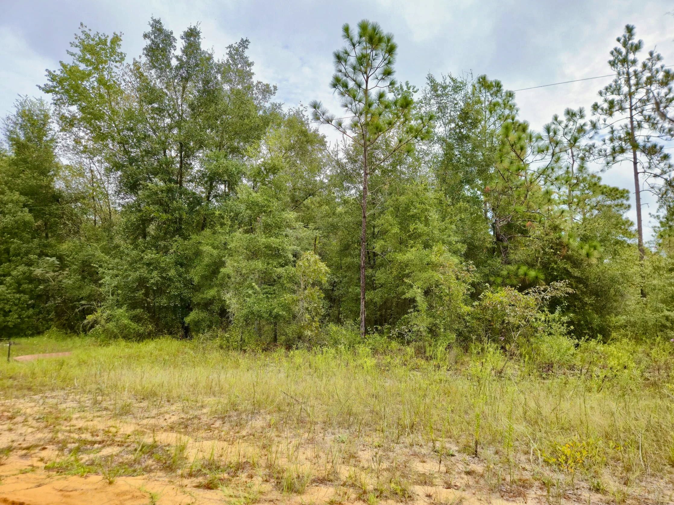 Nice Building Lot with Power in Putnam County, FL