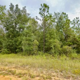 Nice Building Lot with Power in Putnam County, FL