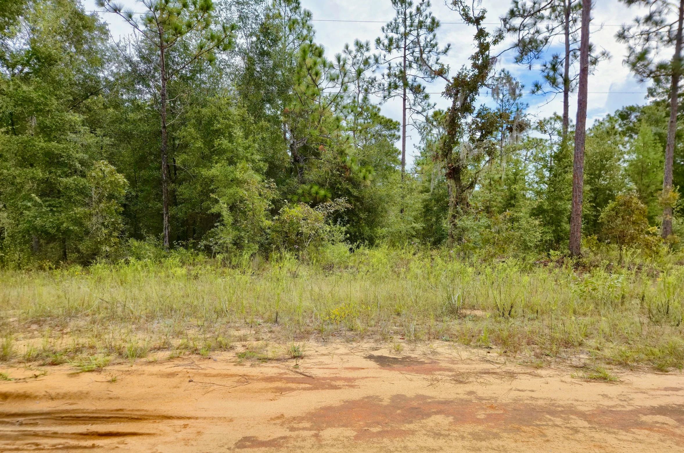 Nice Building Lot with Power in Putnam County, FL