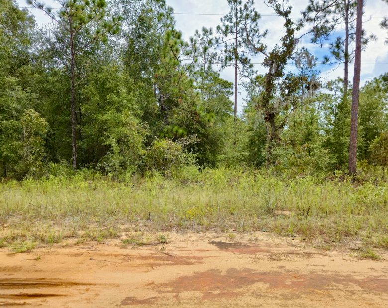 Nice Building Lot with Power in Putnam County, FL