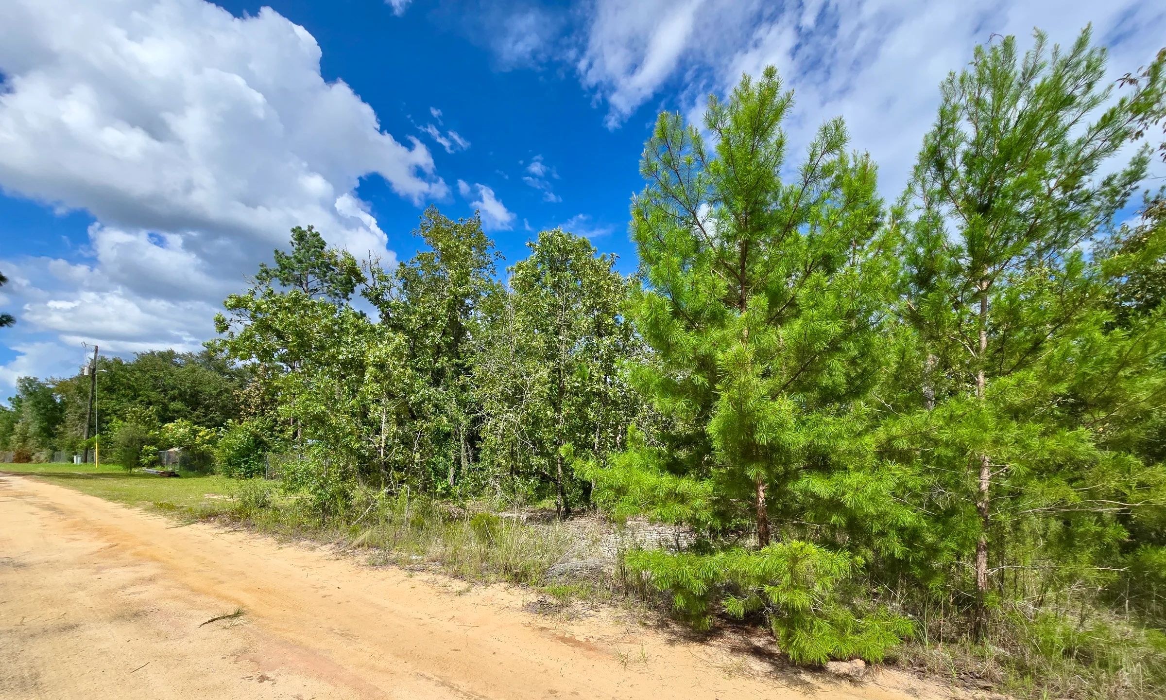 SPACE! Lightly wooded Building Lot with access to Power in Putnam County, FL
