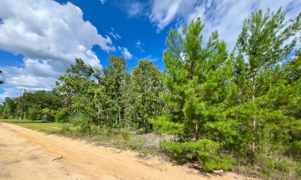 SPACE! Lightly wooded Building Lot with access to Power - Main image