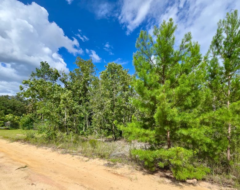 SPACE! Lightly wooded Building Lot with access to Power in Putnam County, FL