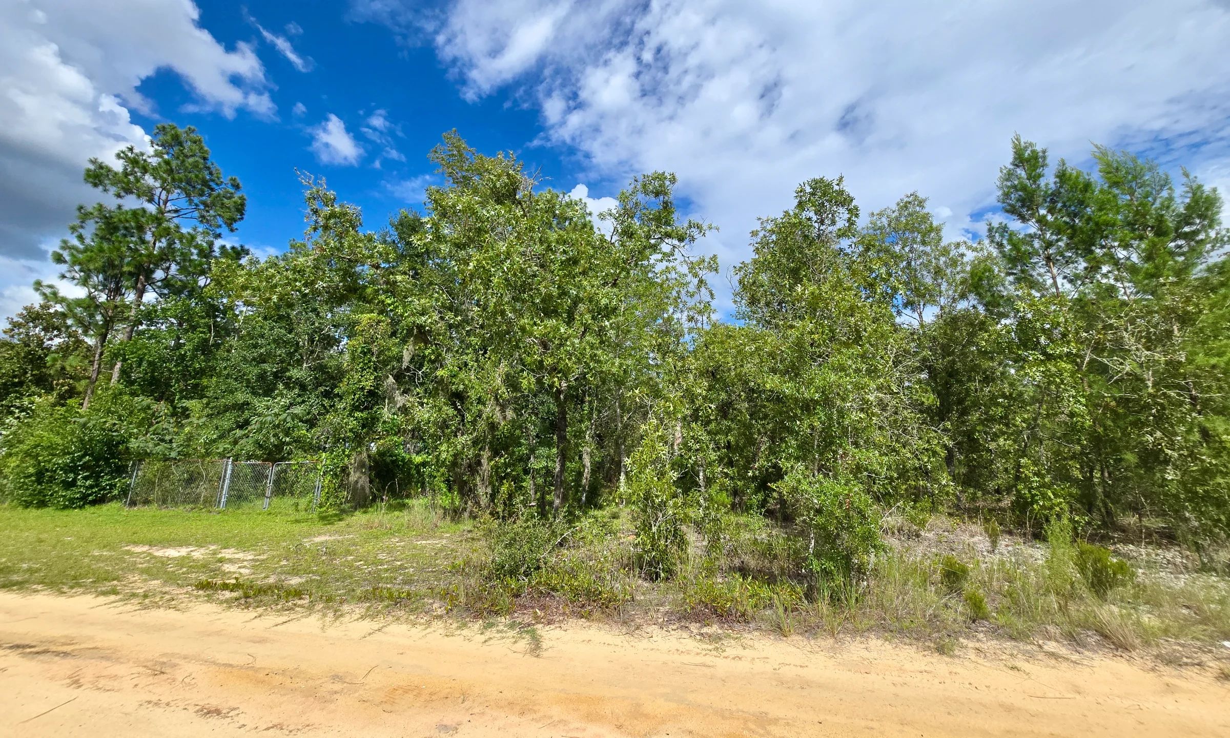 SPACE! Lightly wooded Building Lot with access to Power in Putnam County, FL