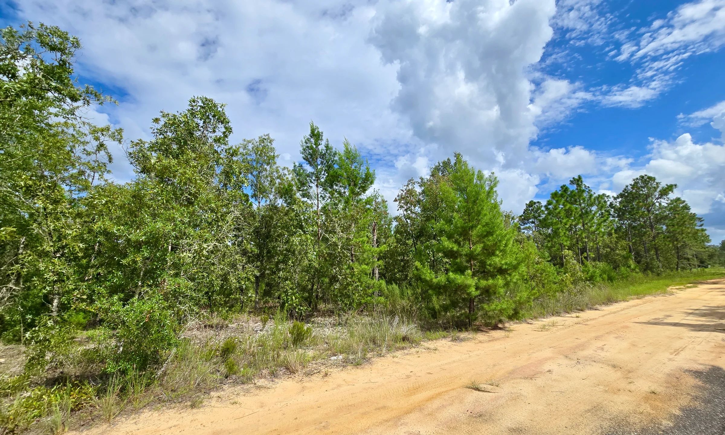 SPACE! Lightly wooded Building Lot with access to Power in Putnam County, FL