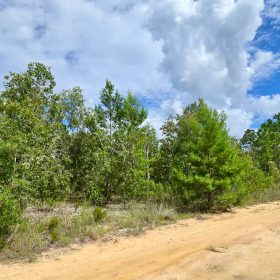 SPACE! Lightly wooded Building Lot with access to Power in Putnam County, FL