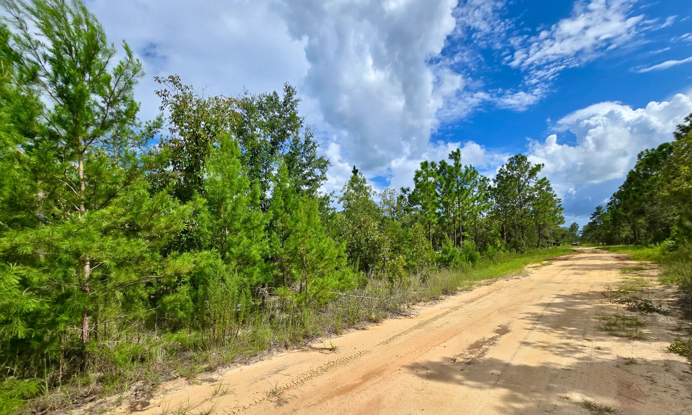 SPACE! Lightly wooded Building Lot with access to Power in Putnam County, FL