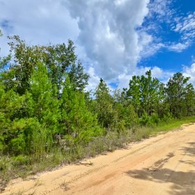 SPACE! Lightly wooded Building Lot with access to Power in Putnam County, FL
