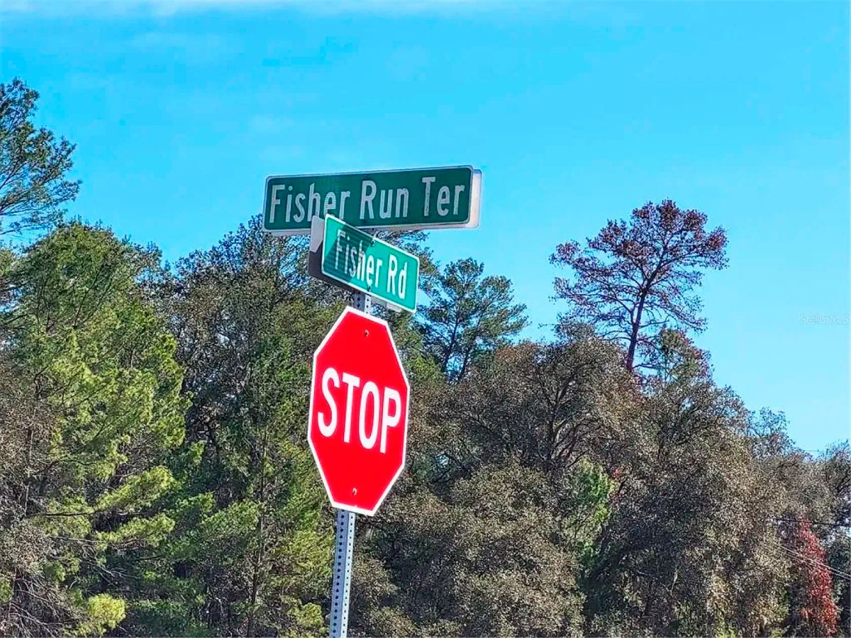Set Back yet well-connected ¼ ac Lot close to the Ocklawaha River - Image 3