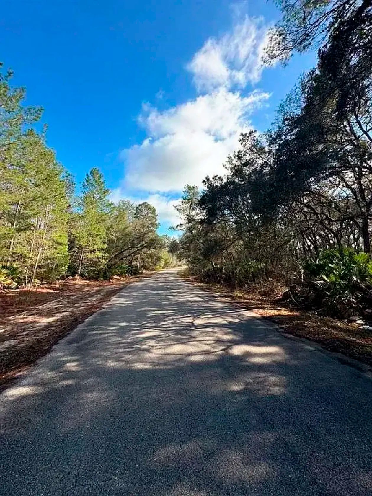 Set Back yet well-connected ¼ ac Lot close to the Ocklawaha River in Marion County, FL