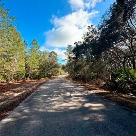 Set Back yet well-connected ¼ ac Lot close to the Ocklawaha River in Marion County, FL
