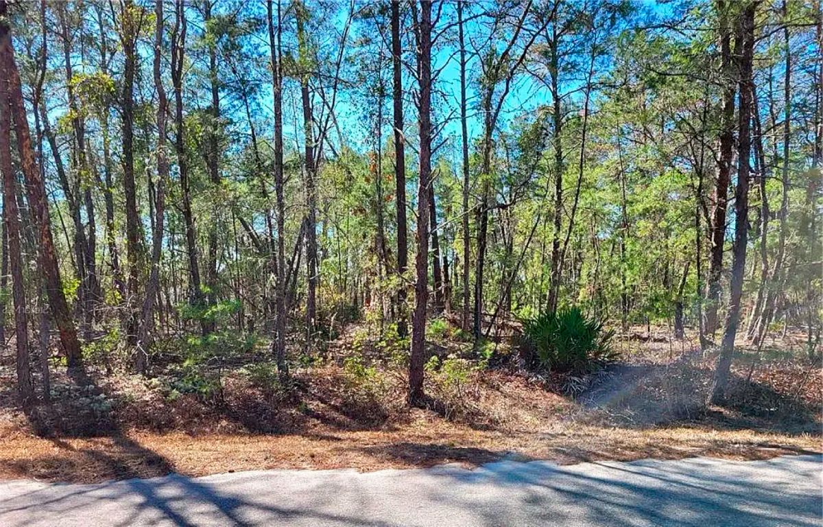 Decorative background for Set Back yet well-connected ¼ ac Lot close to the Ocklawaha River image 5