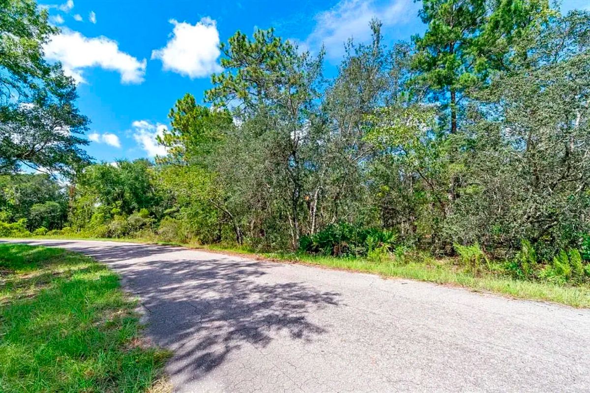 Decorative background for Set Back yet well-connected ¼ ac Lot close to the Ocklawaha River image 6