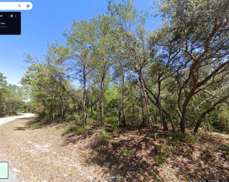 Set Back yet well-connected ¼ ac Lot close to the Ocklawaha River in Marion County, FL